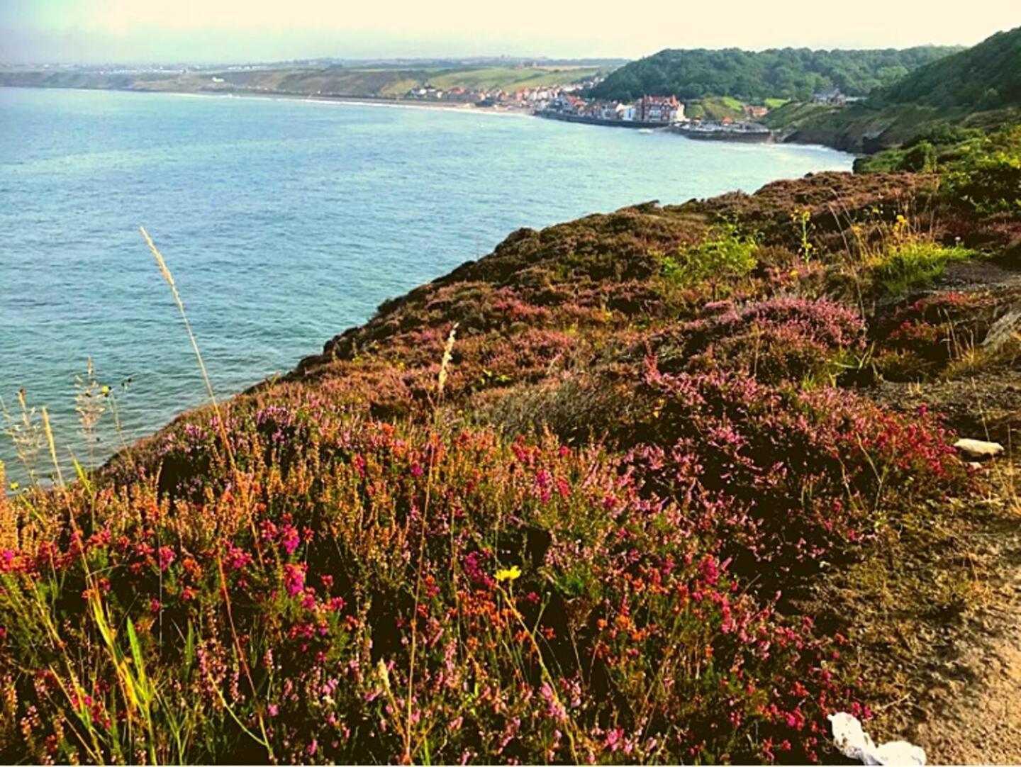 East Cliff View, Heart Of Whitby Eksteriør billede